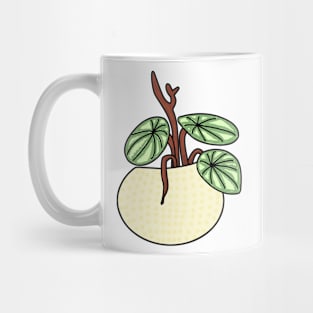 Watermeloenplant Peperomia Watermelon Color Mug